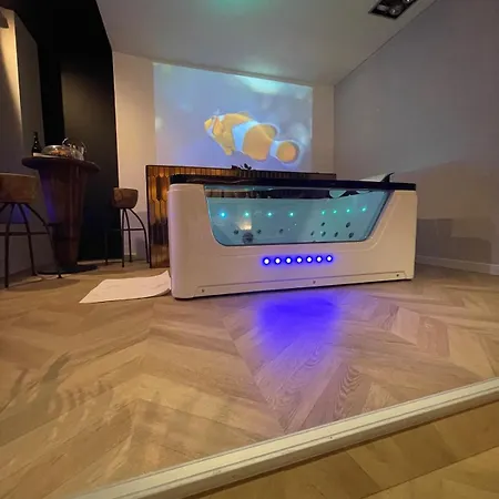 Avec Jacuzzi Prive Ideal Seul Ou Couple - Maison Carre Apartment Nimes