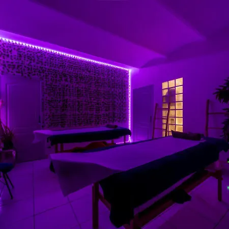 Avec Jacuzzi Prive Ideal Seul Ou Couple - Maison Carre Apartment Nimes